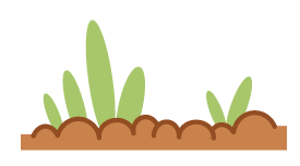 groundhog day 2019 grass-01