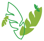 Women March 2019 Leaves - Emily Murphy-01