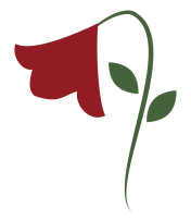 Women November 2019 Red Flower - Shirin Ebadi-01